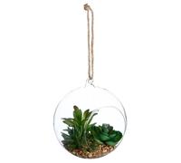Plante artificielle en boule pot verre H17cm - Atmosphera Créateur d'intérieur