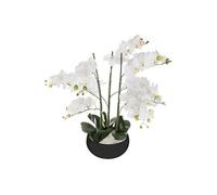 Plante artificielle en ciment, pierre et polyéthylène - Dim : D.25 x H.65 cm --