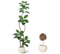 Plante artificielle en forme de ficus, arbre d'intérieur de 180 cm, plante tropicale pour intérieur, pot en forme de bulle avec des pierres, pot de couleur crème, vert