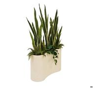 Plante artificielle en pot Sky 80x30cm - Atmosphera Créateur d'intérieur