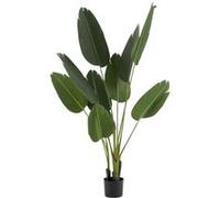 Paris prix Plante artificielle Strelitzia - Vert