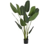 Paris prix Plante artificielle - Vert & noir