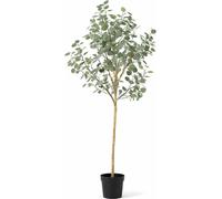 Plante artificielle Eucalyptus 180cm - Grand arbre Eucalyptus décoratif