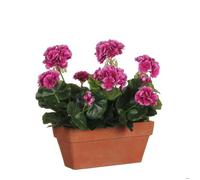 Plante artificielle géranium en jardinière - L29 x l13 x H40 cm - Violet - Mica Decorations
