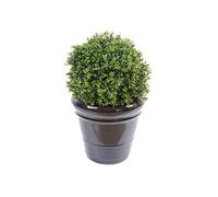 Plante artificielle haute gamme Spécial extérieur / Buis artificiel boule UV - Dim : H.45 x D.30 cm