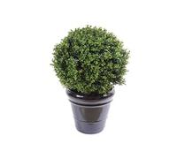 Plante artificielle haute gamme Spécial extérieur / Buis boule artificiel - Dim : H.72 x D.50 cm