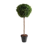 Plante artificielle haute gamme Spécial extérieur / Buis boule coloris vert - Dim : H.180 x D.80 cm