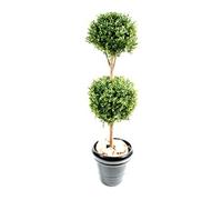 Plante artificielle haute gamme Spécial extérieur / Buis Tige Double Boule - Dim : H.170 x D.70 cm
