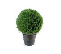 Plante artificielle haute gamme Spécial extérieur / Cyprès artificiel Mini Boule Vert - Dim : 80 x 55 cm