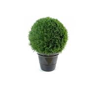 Plante artificielle haute gamme Spécial extérieur / Cyprès artificiel Mini Boule Vert - Dim : 90 x 65 cm