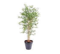 Plante artificielle haute gamme Spécial extérieur en Bambou artificiel, couleur verte - Dim : 180 x 85 cm