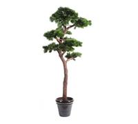 Plante artificielle haute gamme Spécial extérieur / PIN artificiel BONSAI UV - Dim : 220 x 120 cm --