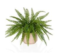 Proliferum - Plante artificielle Vert