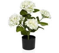 HYDRANGEA - Plante artificielle blanc / vert