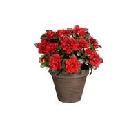 MICA Decorations Plante Artificielle azalée en Pot Ciment - H31 x Ø26 cm - Rouge