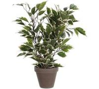 Plante artificielle Mica Decorations Ficus natasja Vert Polyester H40xl30xL30cm