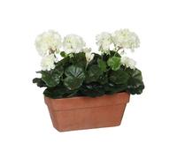 Mica Decorations Géranium Blanc dans Une boîte de Balcon en Terre Cuite - L29 x l13 x H40 cm