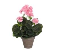MICA Decorations 975162, géranium Grandes Fleurs, Rose