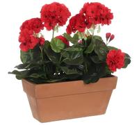 MICA Decorations Geranium Pot de Balcon Terra Rouge 29 x 13 x 40 cm