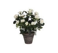 Mica Decorations Maceta de porcelaine grise avec rosier PVC blanc, Ø11,5 x 33 x 25 cm