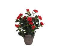 Plante décorative Mica Decorations Rosal Céramique PVC