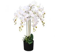 Plante artificielle - NO NAME - Orchidée - 75 cm - Blanc - Réaliste et facile d'entretien