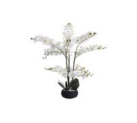 Plante artificielle orchidée avec pot en ciment - H.65 x L.54 cm- Blanc -TARA