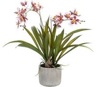 Plante artificielle Orchidée - Bordeaux - 45cm - Orchidée artificielle plus