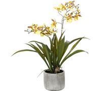 Plante artificielle Orchidée - Jaune - Marron - 45cm - Orchidée artificielle en