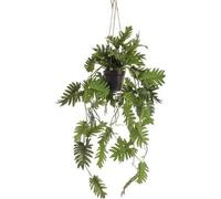 Plante artificielle Philodendron - Plante suspendue 80cm - D'un réalisme