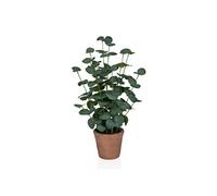 Eucalyptus - Plante artificielle Vert