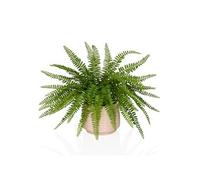 Proliferum - Plante artificielle Vert