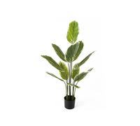 Plante artificielle Present Time Calathea Vert 70x116 cm