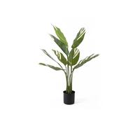 Plante artificielle Present Time Calathea W. Vert 63x90 cm