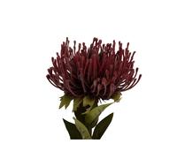 Plante artificielle Present Time Protea Flower Large Rouge 12,01x73,1 cm