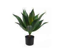 Plante artificielle Present Time Succulent Vert 50x56 cm