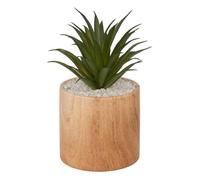 Plante artificielle ""Sao"" marron H17cm - Atmosphera Créateur d'intérieur