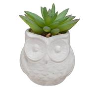 Plante Artificielle Succulente dans Pot Forme Hibou H 8 cm - Atmosphera