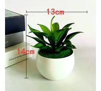 Plante artificielle succulente - Multicolore