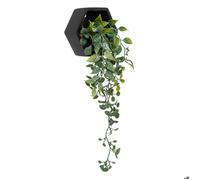 Atmosphera – Plante artificielle suspendue Ayame – Pot noir – H14 cm