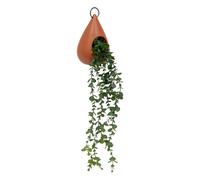 Plante Artificielle Suspendue Be Vintage 60cm Marron
