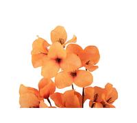 Plante artificielle Tige de fleur Present Time Orange 17,8x86,4 cm