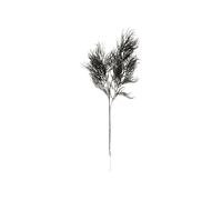 Plante artificielle Tige de fougère asperge Present Time Noir 25,4x86,4 cm