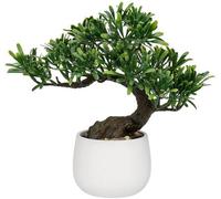 Plante décorative en céramique de 25 cm, style bonsaï, pour le salon