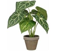 Plante décorative - MICA DECORATIONS - Caladium - Ø 21 cm - Hauteur 28 cm - Artificielle