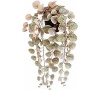Plante décorative - MICA DECORATIONS - Ceropegia Woodii - Artificielle - À Suspendre - Multicolore