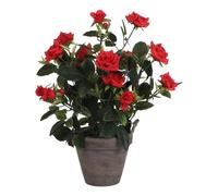 Plante décorative Mica Decorations Rosal Céramique PVC