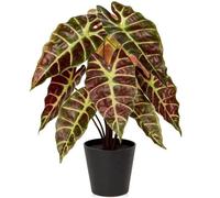Plante d'intérieur artificielle Calathea, fleurs artificielles ultra-réalistes de variétés Zebrina et Alocasia Sanderiana, plante d'intérieur artificielle élégante dans un petit pot en céramique noire