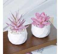 Plante en pot succulente artificielle, petite fleur rose factice, convient pour le salon, la chambre, le bureau, les étagères, la décoration de salle de bain Taille UniquePolyéthylène
