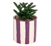 Plante Grasse Artificielle Deep Purple 16cm Violet